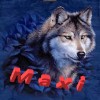 Maxi