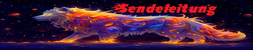 Sendeleitung